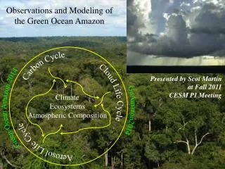 Observations and Modeling of the Green Ocean Amazon