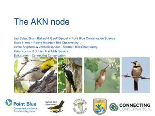 The AKN node