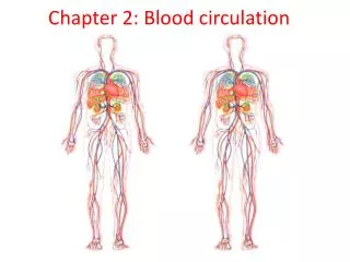 Chapter 2: Blood circulation