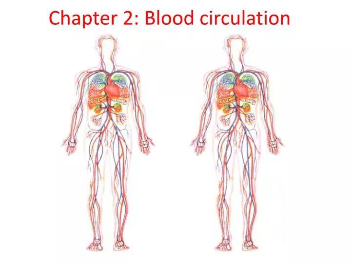 chapter 2 blood circulation
