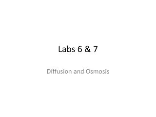 Labs 6 &amp; 7