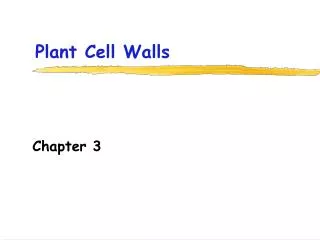 Plant Cell Walls