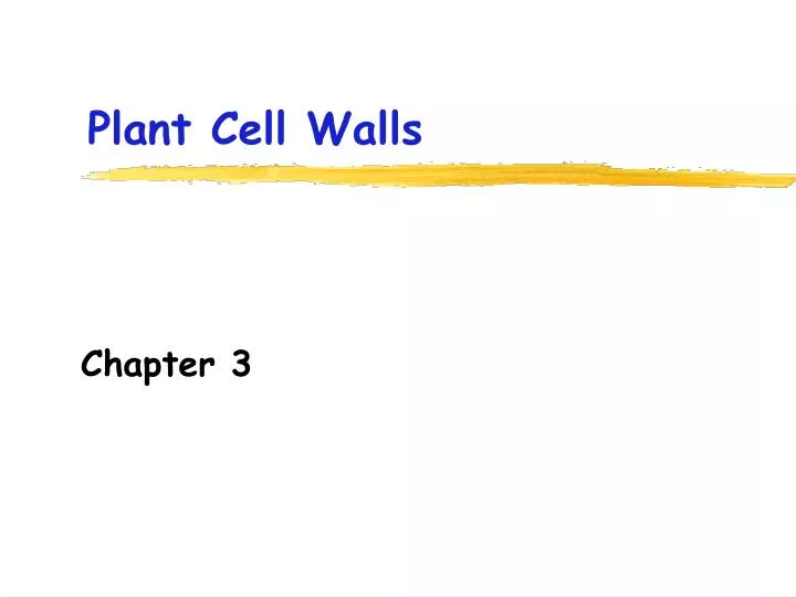 plant cell walls