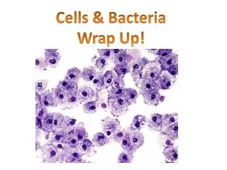 Cells &amp; Bacteria Wrap Up!