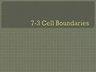 7-3 Cell Boundaries