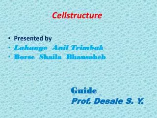 Cellstructure