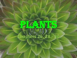 PLANTS