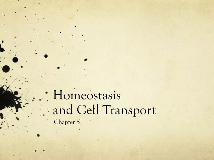 homeostasis and cell transport