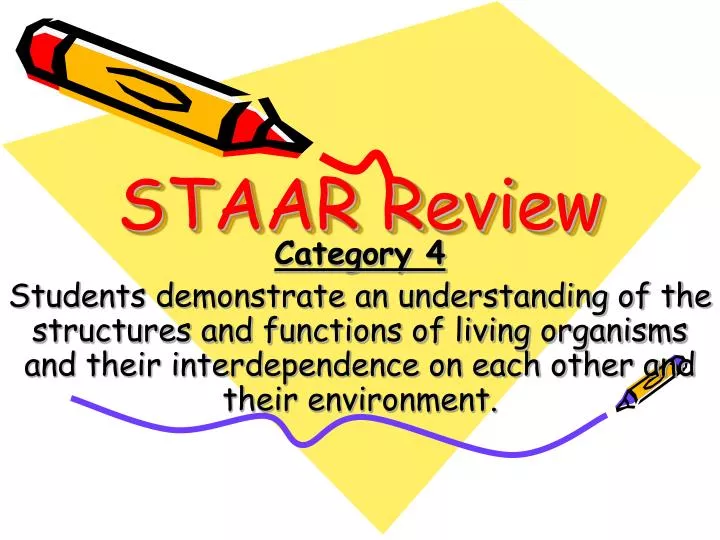 staar review