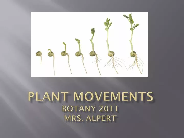 plant movements botany 2011 mrs alpert