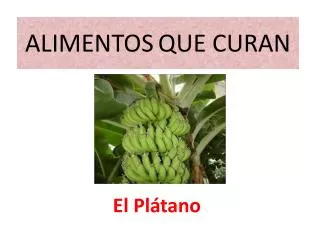 alimentos que curan
