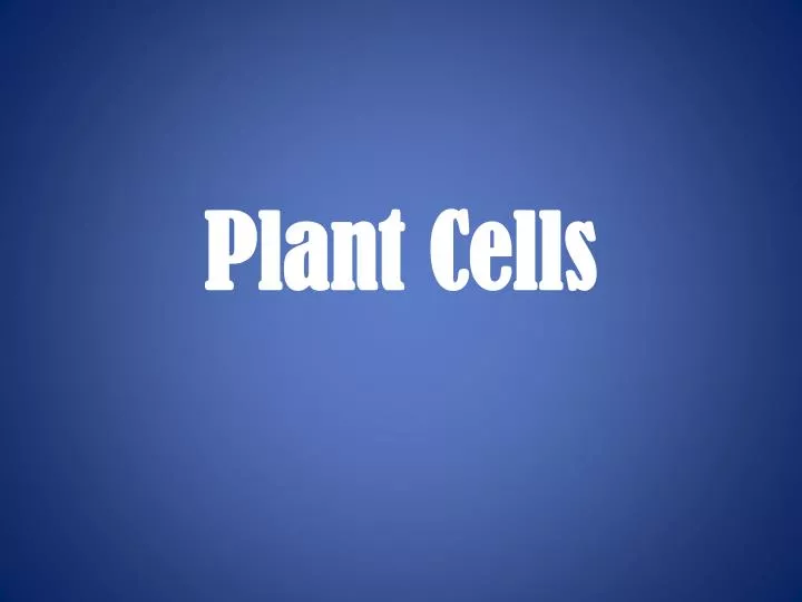 plant cells