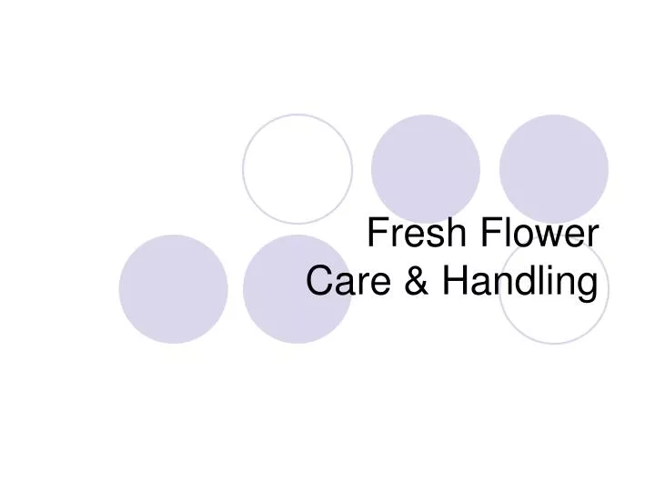 fresh flower care handling