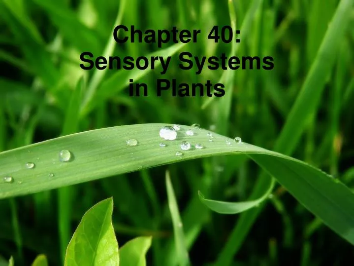 chapter 40 sensory systems in plants