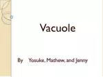 By Yosuke, Mathew, and Jenny - slide 1