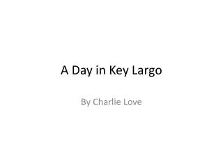 A Day in Key Largo