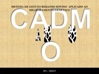 cadmo