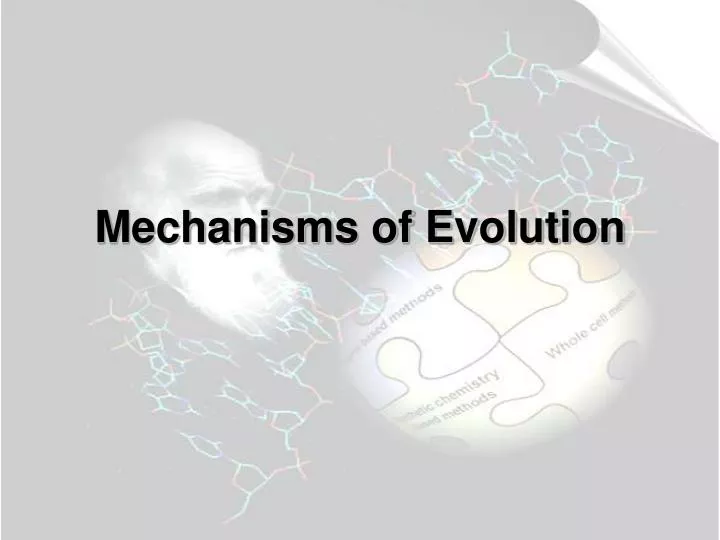 mechanisms of evolution