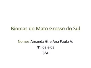 biomas do mato grosso do sul