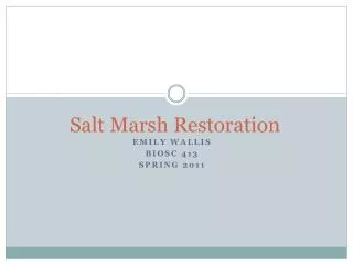 Salt Marsh Restoration