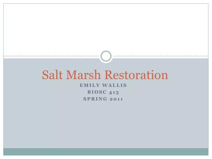 salt marsh restoration