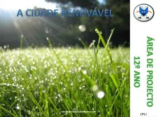 a cidade renov vel