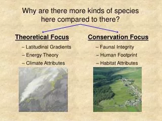 Why are there more kinds of species here compared to there?