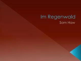 im regenwald