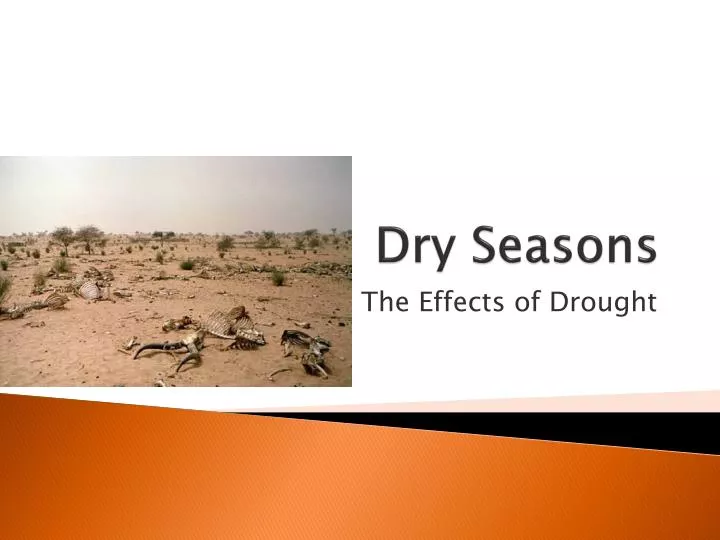 dry seasons