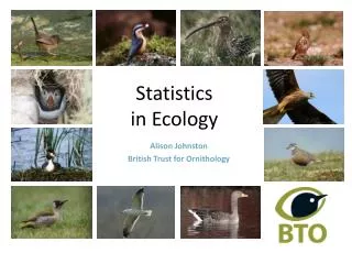 Statistics in Ecology