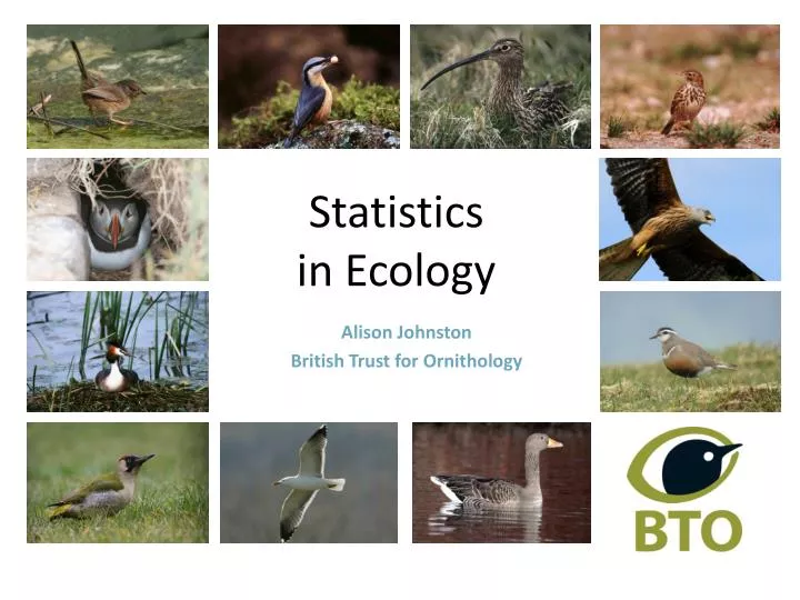 statistics in ecology