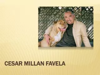 Cesar Millan Favela
