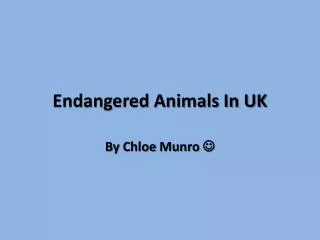Endangered Animals In UK