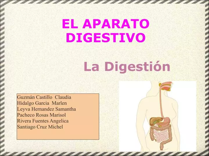 el aparato digestivo la digesti n