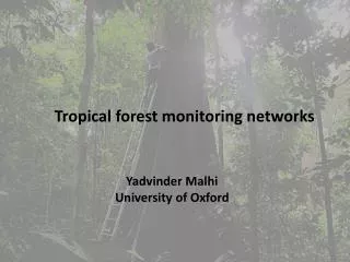 Tropical forest monitoring networks