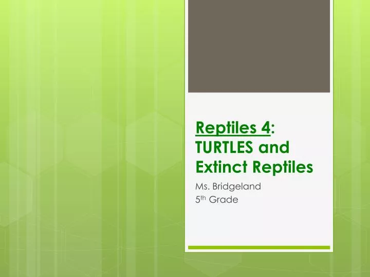 reptiles 4 turtles and extinct reptiles