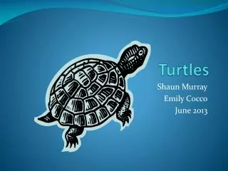 Turtles