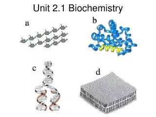 Unit 2.1 Biochemistry