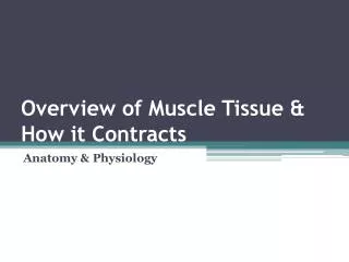 overview of muscle tissue how it contracts