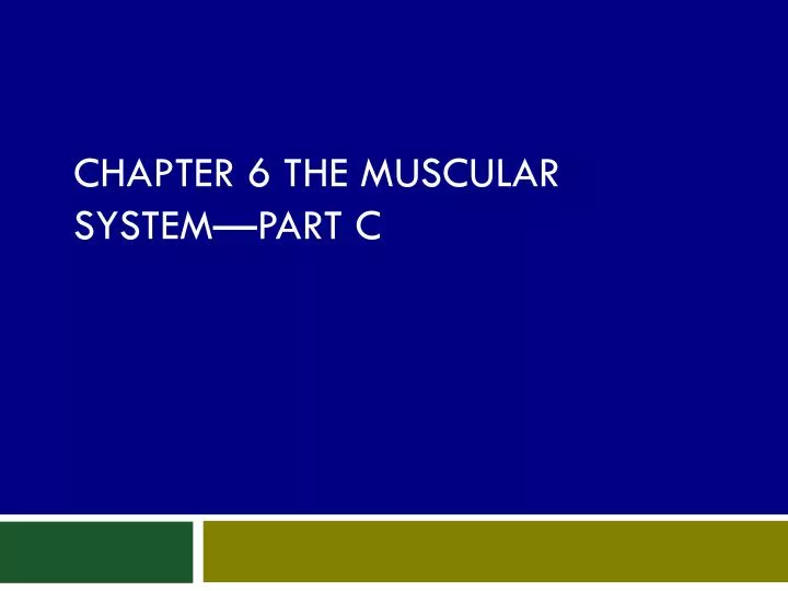 chapter 6 the muscular system part c
