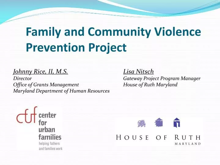 family and community violence prevention project