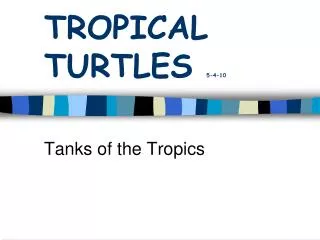 TROPICAL TURTLES 5-4-10