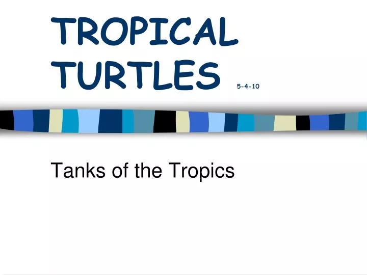 tropical turtles 5 4 10