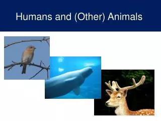 Humans and (Other) Animals
