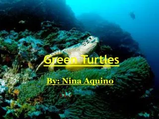 Green Turtles