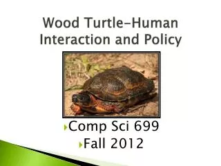 Wood Turtle-Human Interaction and Policy