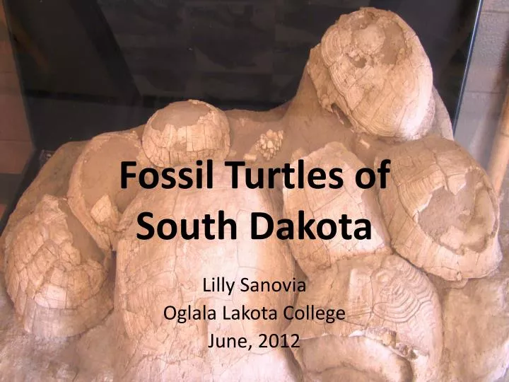 fossil turtles of south dakota