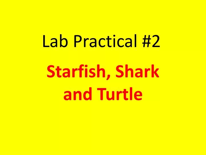 lab practical 2