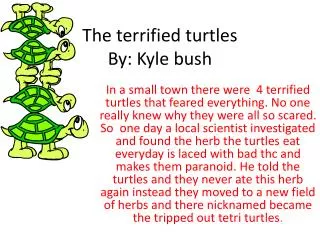 The terrified turtles By: K yle bush