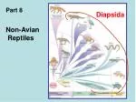 Diapsida - slide 1